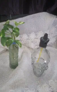 ته قلیون اسکلت