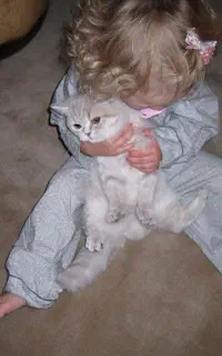 دنبالِ کار پاره وقتم.