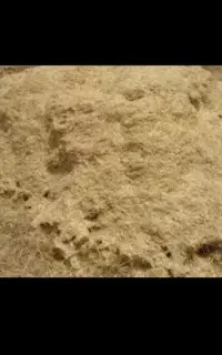 کاه گندم