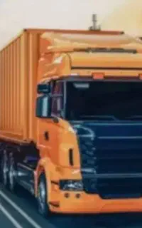 صادرات  ترخیص کار