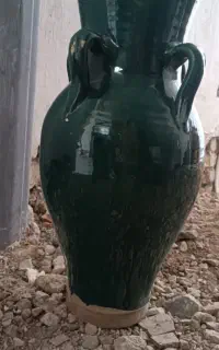 باسلام یه دانه کوزه سالم