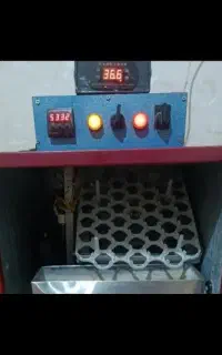 دستگاه جوجه کشی