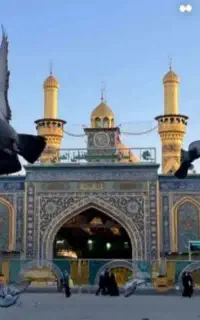 تور مشهد  قطار / هواپیما   هتل نزدیک حرم