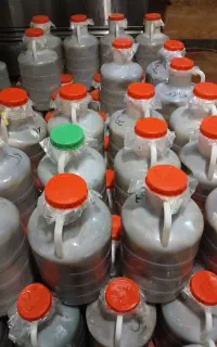 خیارشور سراب
