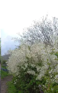 به یک کارگر خوب  نیازمندیم