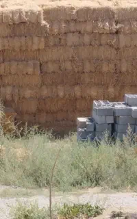 هزار دسته کاه گندم