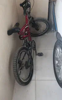 دوچرخه حرفه ای 20