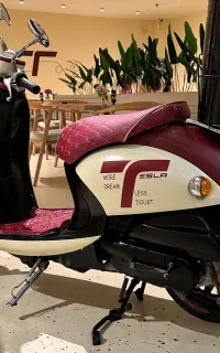 فروش موتور پاکشتی