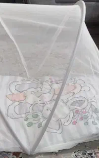 پشه بند