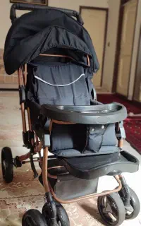 کالسکه دلیجان بدنه مسی