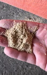 سبوس برنج