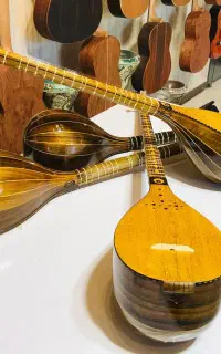 سه تار حرفه ای /آموزش ۱۰ جلسه