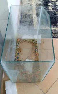 آکواریوم ماهی