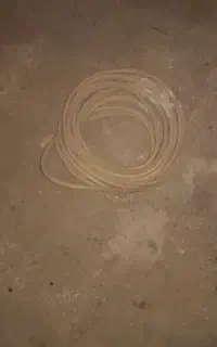 شیلنگ