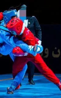 مربی رسمی فدراسیون ووشو  و فیتنس کراسفیت بدنسازی