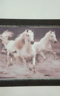 تابلو طرح اسب نو