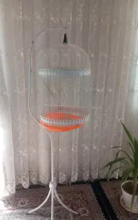 قفس پرنده