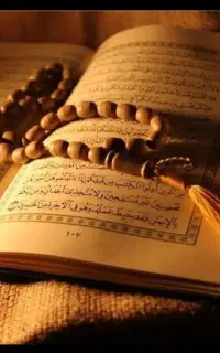 کتاب باشی