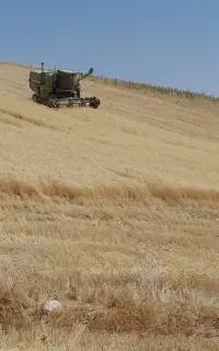 راننده کمپاین