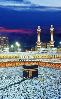 فروش فیش حج تمتع 1385/8 تهران