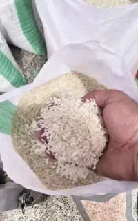 برنج پاکستانی درجه ۱