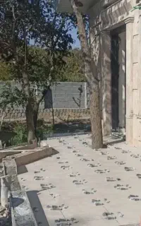 کاشیکاری وسرامیک وموزائیک کاری