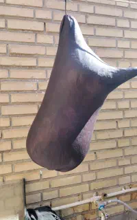 نی انبان