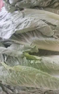 نیاز به یک کارگر ساده در بار فروشی