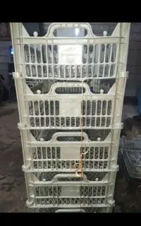 سبد 6کیلویی