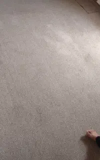 پالازموکت