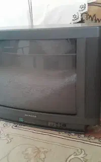 تلویزیون