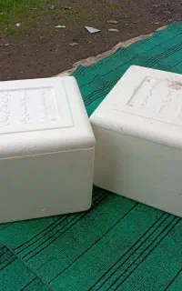 کلمن