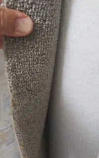 موکت فرش ظریف مصور تافتینگ