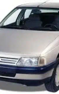 ماشین ۴۰۵ بژ دوگانه کارخانه
