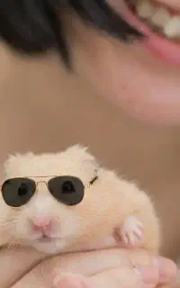 همسترهای فسقلی .بندانگشتی جذاب ودوستداشتنی