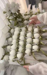 گیفت لاله و بابونه بصرفه و شیک
