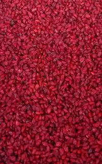 عمده فروشی زرشک پفکی