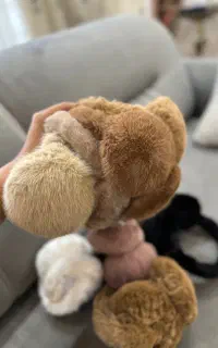 هرچی که ترنده رو بیا ببین اینجا