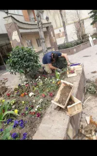 باغبانی وهرسکاری سرویس به کل تهران وحومه