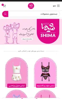 مسئول سایت وردپرس و سئوکار حرفه ای