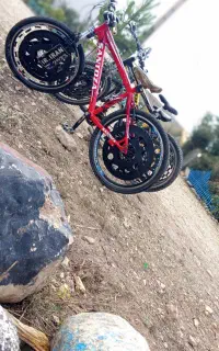 دوچرخه اسپرت
