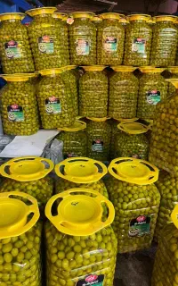 زیتون عمده
