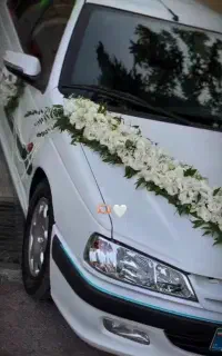 گل ارایی ماشین عروس، اقتصادی