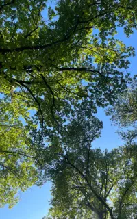 سیمکارت ۹۷۱۷-۱۷۹-۰۹۱۱