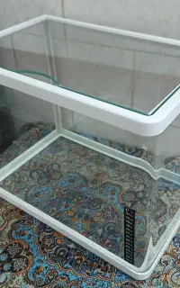 اکواریوم