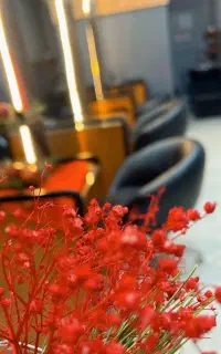 اجاره لاین اقتصادی 500 تومان
