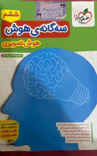 سه گانه هوش تصویری