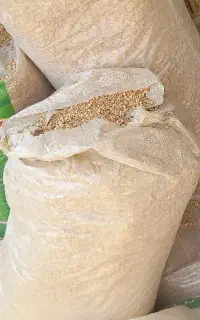 پوشال