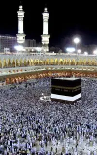حج واجب