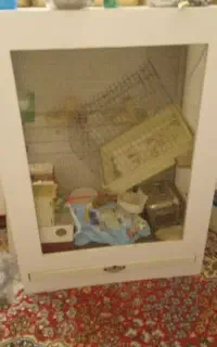قفس مرغ عشق و فنچ سالم